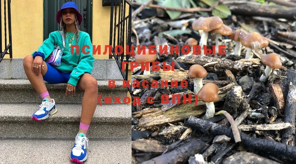 мяу мяу мука Алзамай